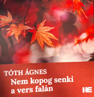 Tóth Ágnes: Nem kopog senki a vers falán